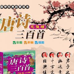 儿童唐诗三百首全解幼儿图书宝宝启蒙古诗词300首全集注音版彩图宋词 唐诗三百首（完整版）
